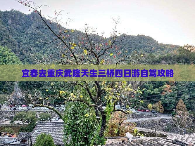宜春去重庆武隆天生三桥四日游