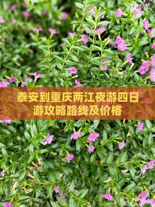 泰安到重庆两江夜游四日游