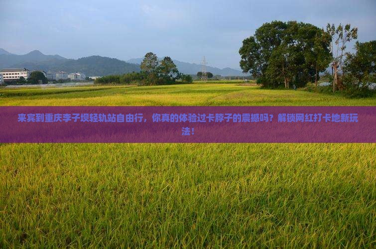来宾到重庆李子坝轻轨站自由行
