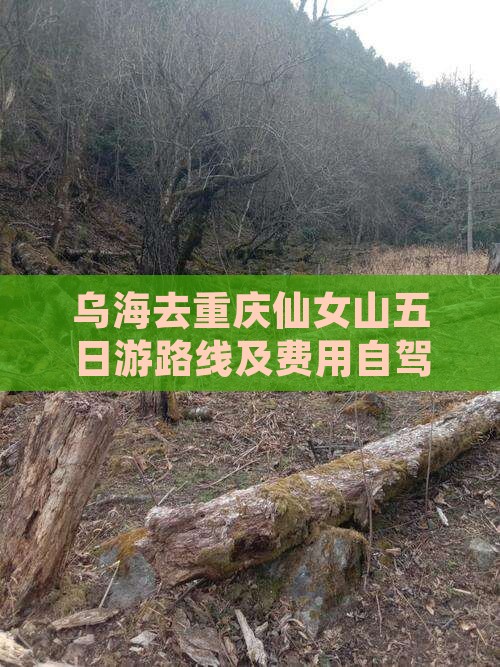 乌海去重庆仙女山五日游