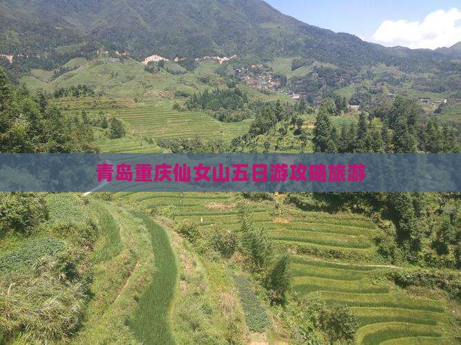 青岛到重庆仙女山五日游