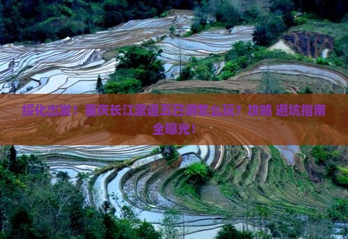 绥化到重庆长江索道五日游