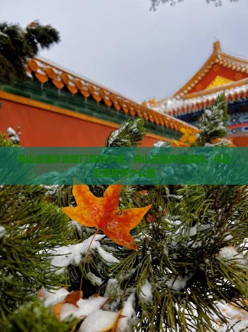 舟山去重庆武隆门票