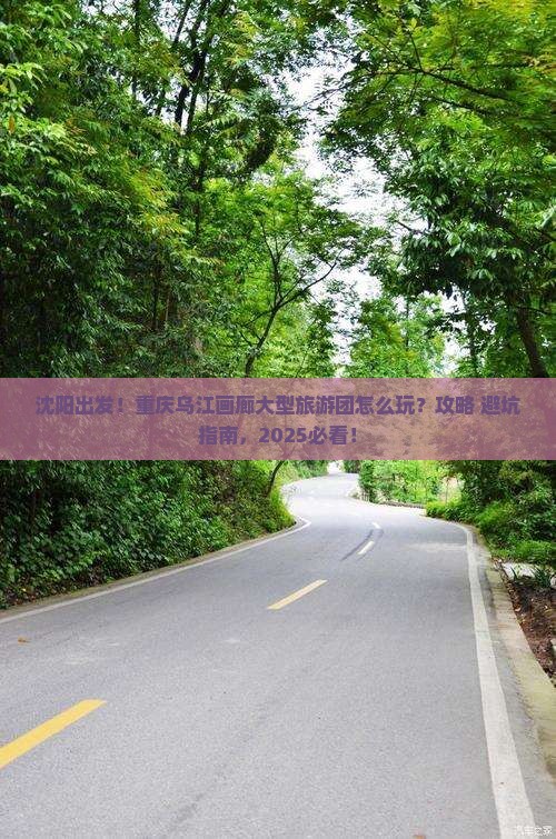 沈阳去重庆乌江画廊大型旅游团