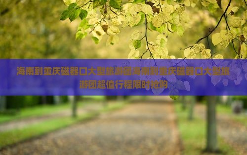 海南到重庆磁器口大型旅游团