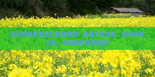 绥化到重庆蚩尤九黎城旅游