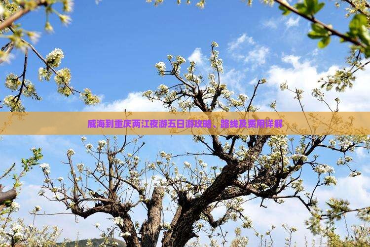 威海到重庆两江夜游五日游