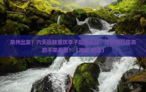 泉州到重庆李子坝轻轨站六日游