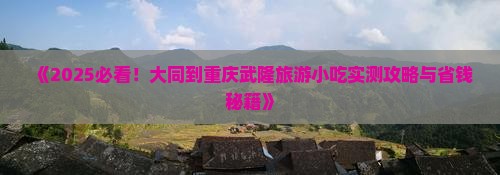 大同到重庆武隆旅游小吃