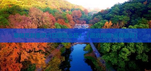 攀枝花到重庆六日游