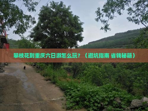 攀枝花到重庆六日游