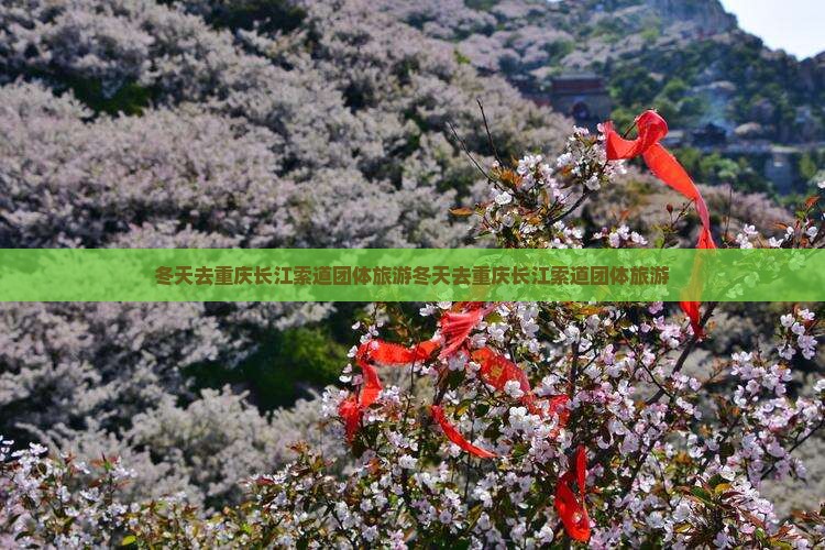 冬天去重庆长江索道团体旅游