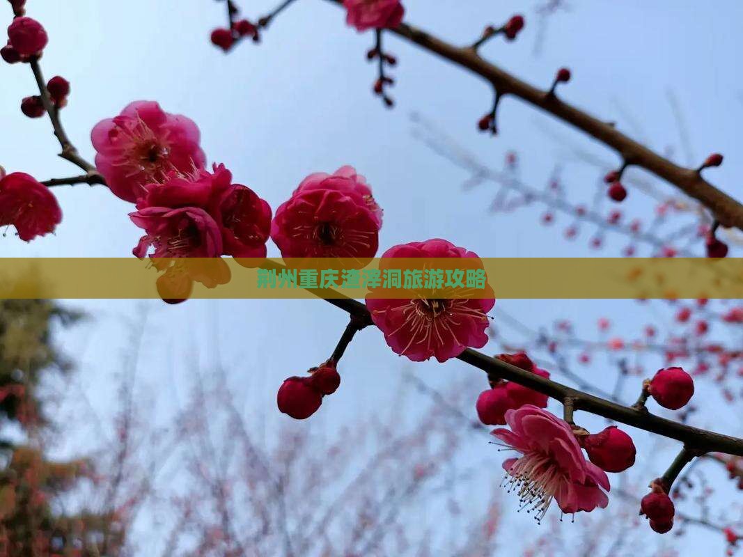 荆州去重庆渣滓洞自由团