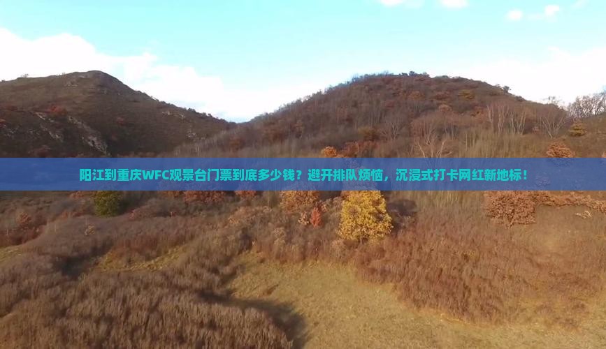阳江到重庆wfc观景台门票