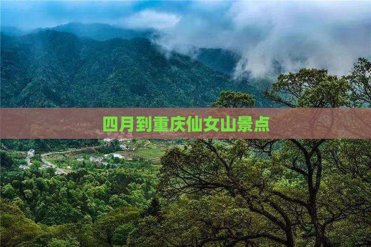 四月到重庆仙女山景点