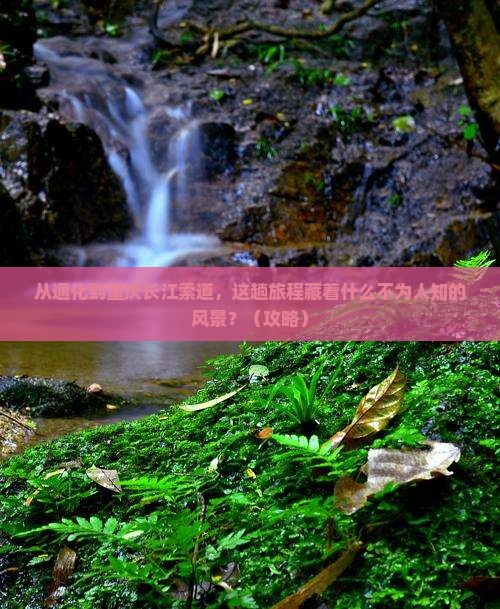 通化到重庆长江索道必去地