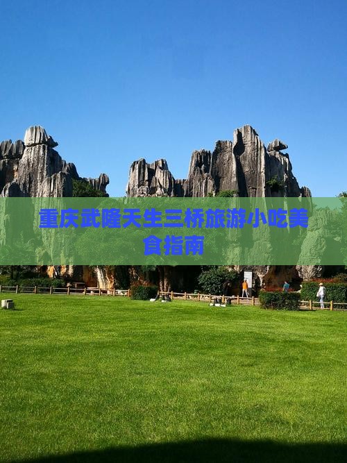 珠海去重庆武隆天生三桥旅游小吃
