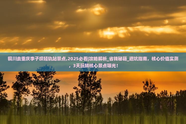 铜川去重庆李子坝轻轨站景点