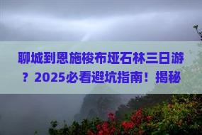 聊城到恩施梭布垭石林三日游