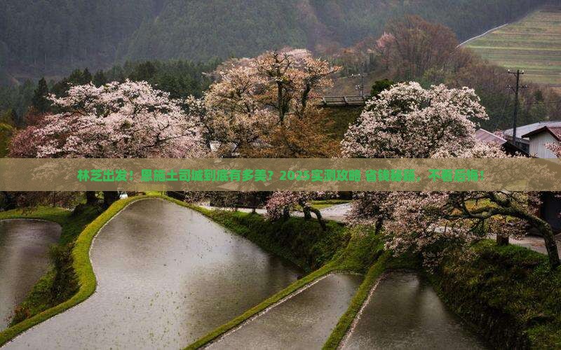 林芝去恩施土司城攻略