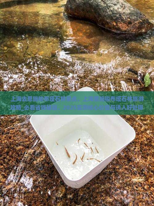 上海去恩施梭布垭石林景点