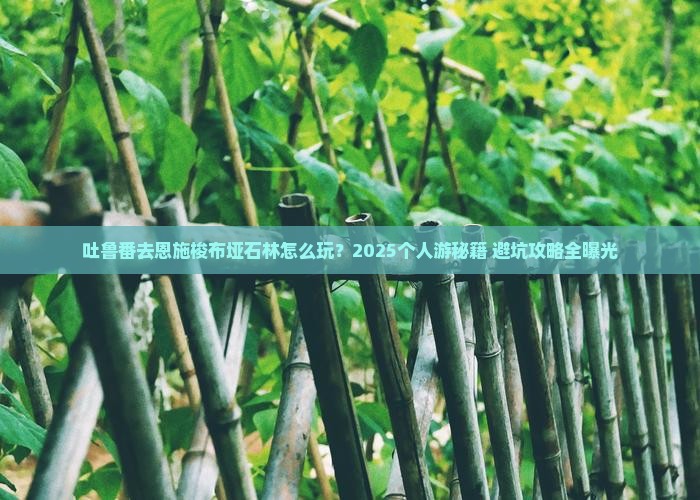 吐鲁番去恩施梭布垭石林个人游