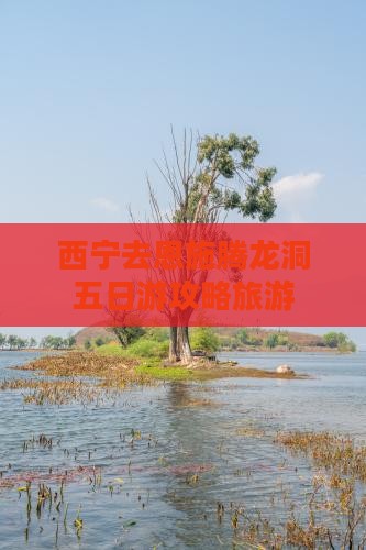 西宁去恩施腾龙洞五日游