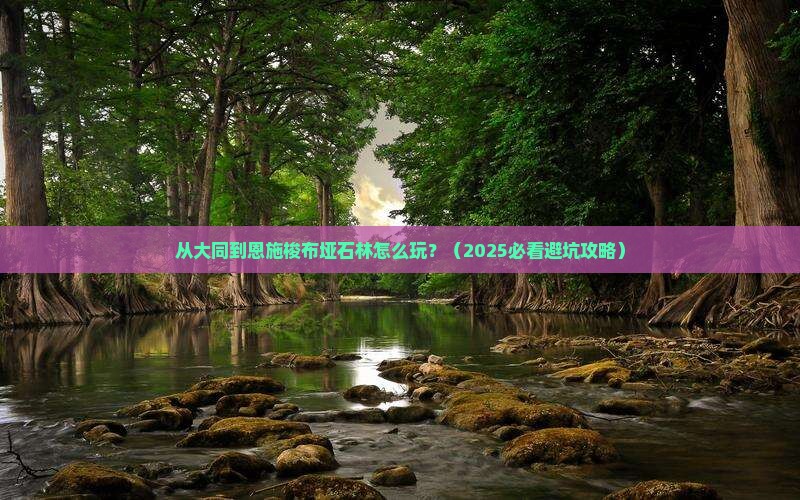 大同去恩施梭布垭石林门票