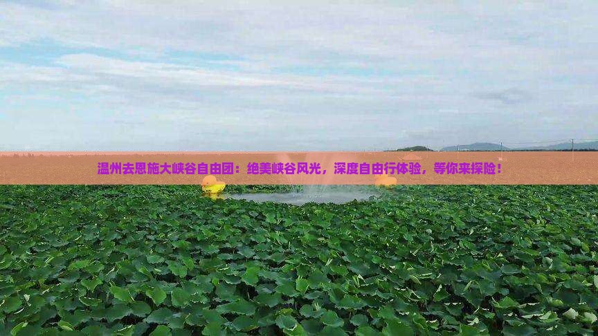 温州去恩施大峡谷自由团