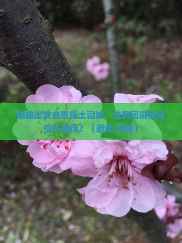 那曲去恩施土司城团体旅游