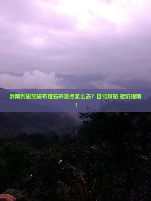 渭南到恩施梭布垭石林景点