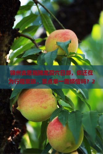 锦州去恩施腾龙洞六日游