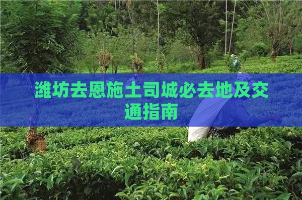 潍坊去恩施土司城必去地