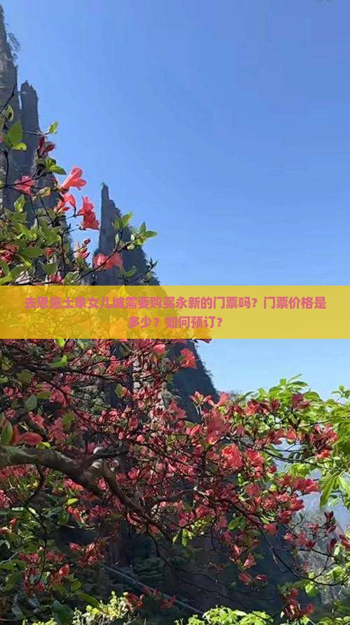 永新去恩施土家女儿城门票