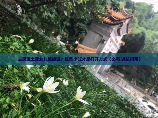 济源去恩施土家女儿城旅游小吃