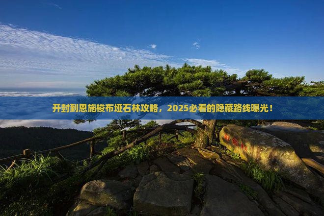 开封到恩施梭布垭石林攻略