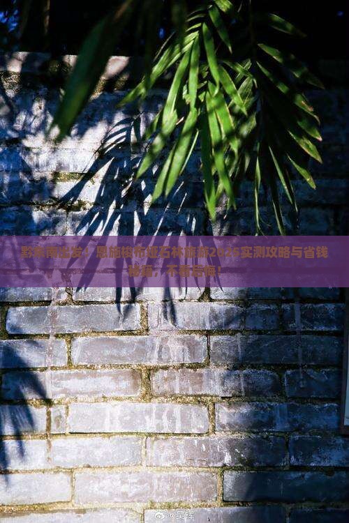 黔东南去恩施梭布垭石林旅游