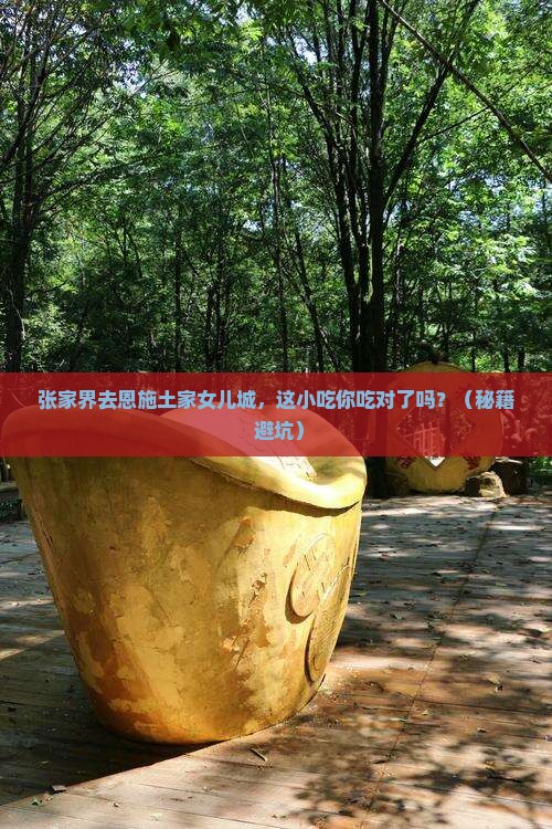 张家界去恩施土家女儿城旅游小吃