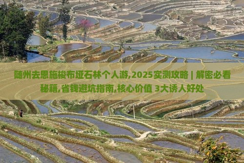 随州去恩施梭布垭石林个人游