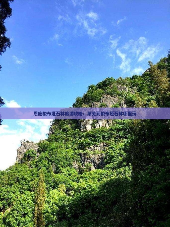 莱芜到恩施梭布垭石林哪里玩