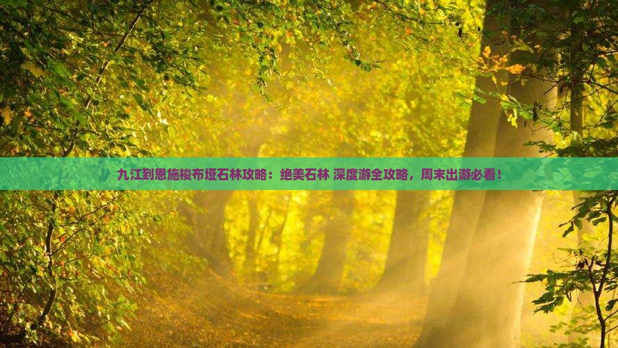九江到恩施梭布垭石林攻略