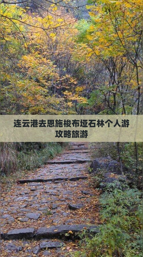连云港去恩施梭布垭石林个人游