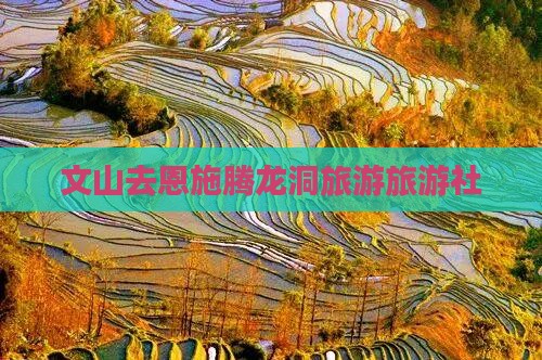 文山去恩施腾龙洞旅行社