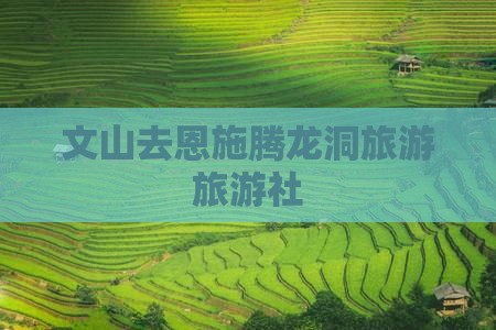 文山去恩施腾龙洞旅行社