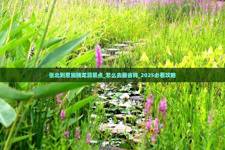 张北到恩施腾龙洞景点