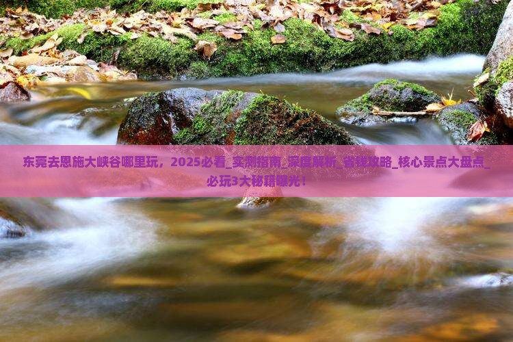 东莞去恩施大峡谷哪里玩