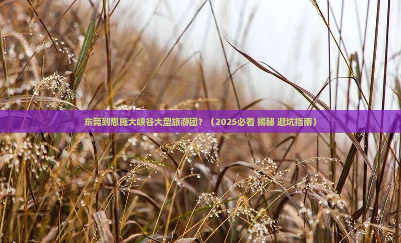 东莞到恩施大峡谷大型旅游团
