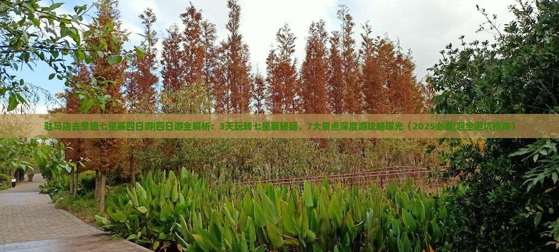 驻马店去恩施七星寨四日游