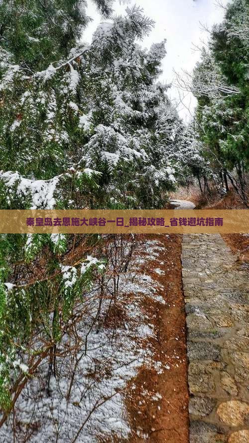 秦皇岛去恩施大峡谷一日