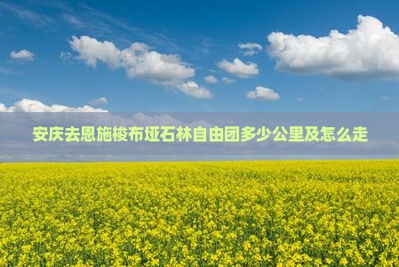 安庆去恩施梭布垭石林自由团